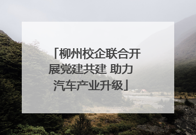 柳州校企联合开展党建共建 助力汽车产业升级