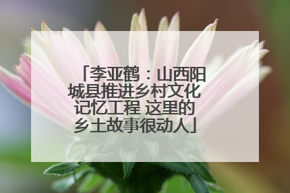 李亚鹤：山西阳城县推进乡村文化记忆工程 这里的乡土故事很动人