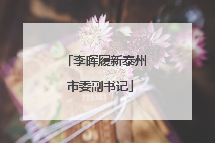 李晖履新泰州市委副书记