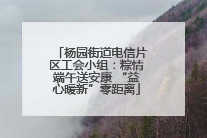 杨园街道电信片区工会小组：粽情端午送安康 “益心暖新”零距离