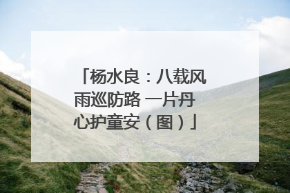 杨水良：八载风雨巡防路 一片丹心护童安（图）