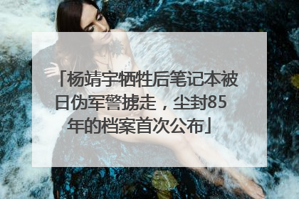 杨靖宇牺牲后笔记本被日伪军警掳走，尘封85年的档案首次公布