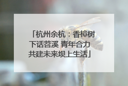 杭州余杭：香樟树下话苕溪 青年合力共建未来坝上生活