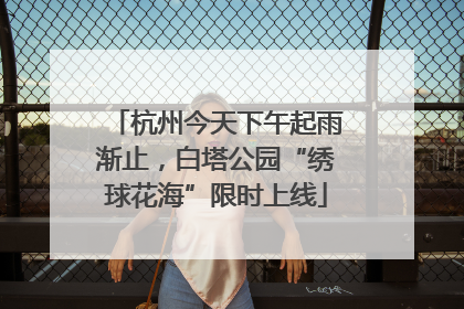 杭州今天下午起雨渐止，白塔公园“绣球花海”限时上线