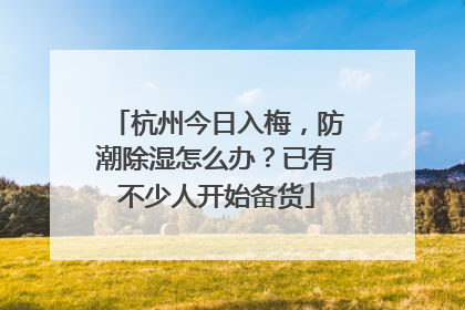 杭州今日入梅，防潮除湿怎么办？已有不少人开始备货