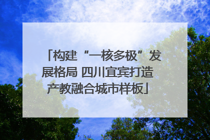 构建“一核多极”发展格局 四川宜宾打造产教融合城市样板