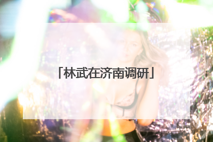 林武在济南调研
