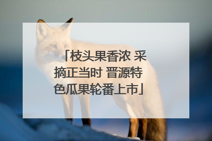 枝头果香浓 采摘正当时 晋源特色瓜果轮番上市