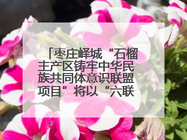 枣庄峄城“石榴主产区铸牢中华民族共同体意识联盟项目”将以“六联”活动为抓手深化品牌建设