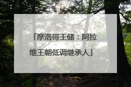 摩洛哥王储：阿拉维王朝低调继承人