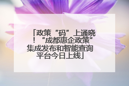 政策“码”上通晓！“成都惠企政策”集成发布和智能查询平台今日上线
