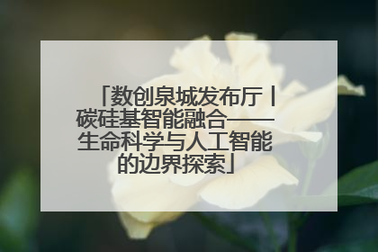 数创泉城发布厅丨碳硅基智能融合——生命科学与人工智能的边界探索