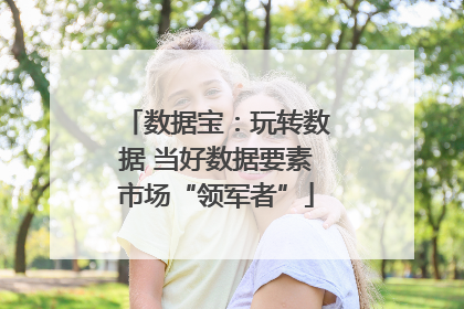 数据宝：玩转数据 当好数据要素市场“领军者”