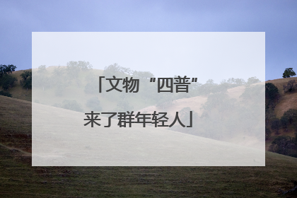 文物“四普”来了群年轻人