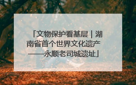 文物保护看基层｜湖南省首个世界文化遗产——永顺老司城遗址