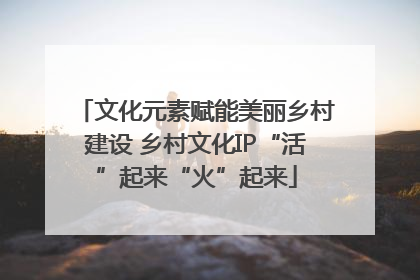 文化元素赋能美丽乡村建设 乡村文化IP“活”起来“火”起来