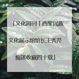 文化周刊丨西黎民族文化展示馆馆长王秀芹痴迷收藏四十载