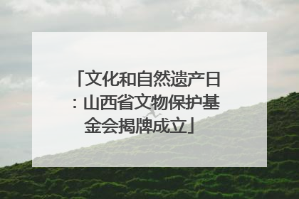 文化和自然遗产日：山西省文物保护基金会揭牌成立