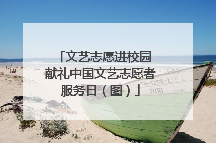 文艺志愿进校园 献礼中国文艺志愿者服务日（图）