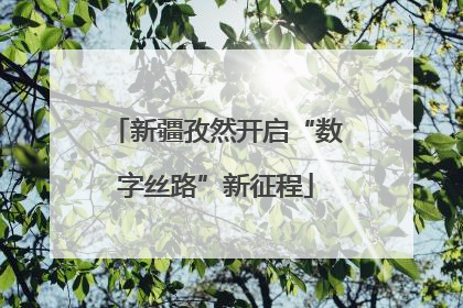 新疆孜然开启“数字丝路”新征程