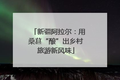 新疆阿拉尔：用桑葚“酿”出乡村旅游新风味