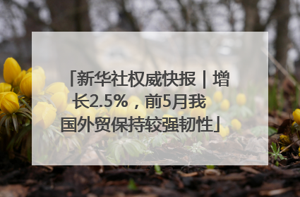 新华社权威快报｜增长2.5%，前5月我国外贸保持较强韧性
