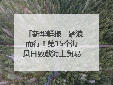 新华鲜报｜踏浪而行！第15个海员日致敬海上贸易“守护人”