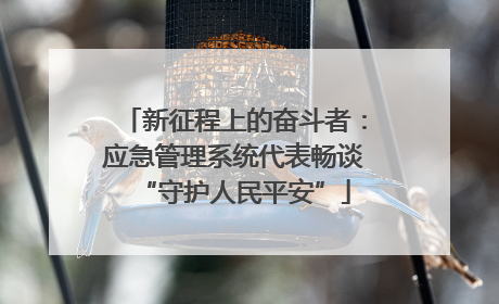 新征程上的奋斗者：应急管理系统代表畅谈“守护人民平安”