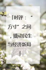 时评：“方寸”之间，撬动民生与经济新局