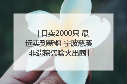 日卖2000只 最远卖到新疆 宁波慈溪非遗粽凭啥火出圈