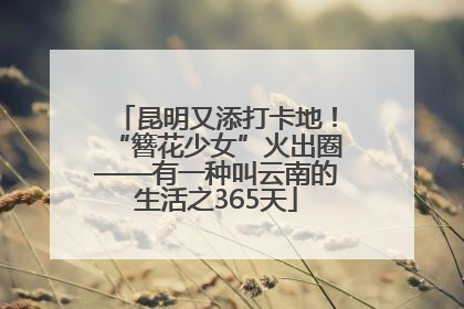 昆明又添打卡地！“簪花少女”火出圈——有一种叫云南的生活之365天