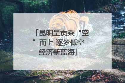 昆明呈贡乘“空”而上 逐梦低空经济新蓝海