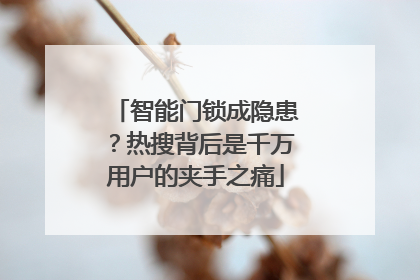 智能门锁成隐患？热搜背后是千万用户的夹手之痛