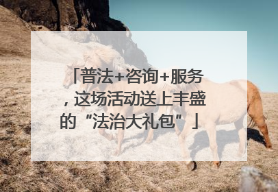 普法+咨询+服务，这场活动送上丰盛的“法治大礼包”