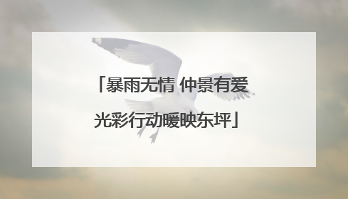 暴雨无情 仲景有爱 光彩行动暖映东坪