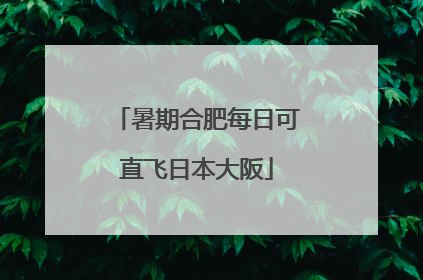 暑期合肥每日可直飞日本大阪