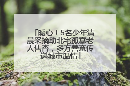 暖心！5名少年清晨采摘助北宅孤寡老人售杏，多方善意传递城市温情