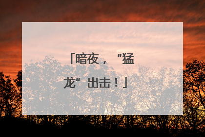 暗夜，“猛龙”出击！