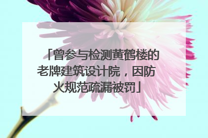 曾参与检测黄鹤楼的老牌建筑设计院，因防火规范疏漏被罚