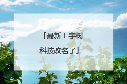最新！宇树科技改名了