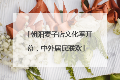 朝阳麦子店文化季开幕，中外居民联欢