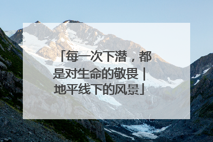 每一次下潜，都是对生命的敬畏｜地平线下的风景