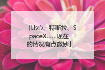 比心、特斯拉、SpaceX……现在的情况有点微妙