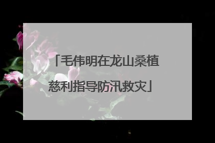 毛伟明在龙山桑植慈利指导防汛救灾