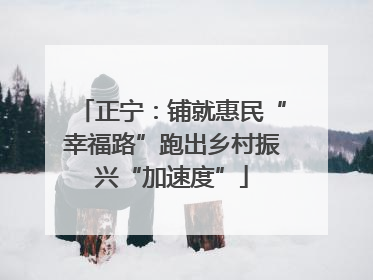 正宁：铺就惠民“幸福路”跑出乡村振兴“加速度”