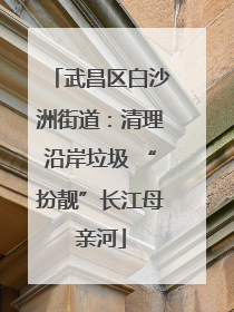 武昌区白沙洲街道：清理沿岸垃圾 “扮靓”长江母亲河