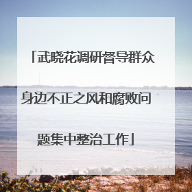 武晓花调研督导群众身边不正之风和腐败问题集中整治工作