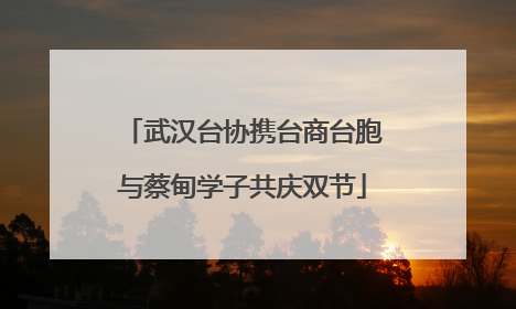 武汉台协携台商台胞与蔡甸学子共庆双节