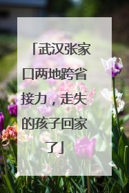 武汉张家口两地跨省接力，走失的孩子回家了