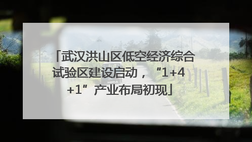武汉洪山区低空经济综合试验区建设启动，“1+4+1”产业布局初现